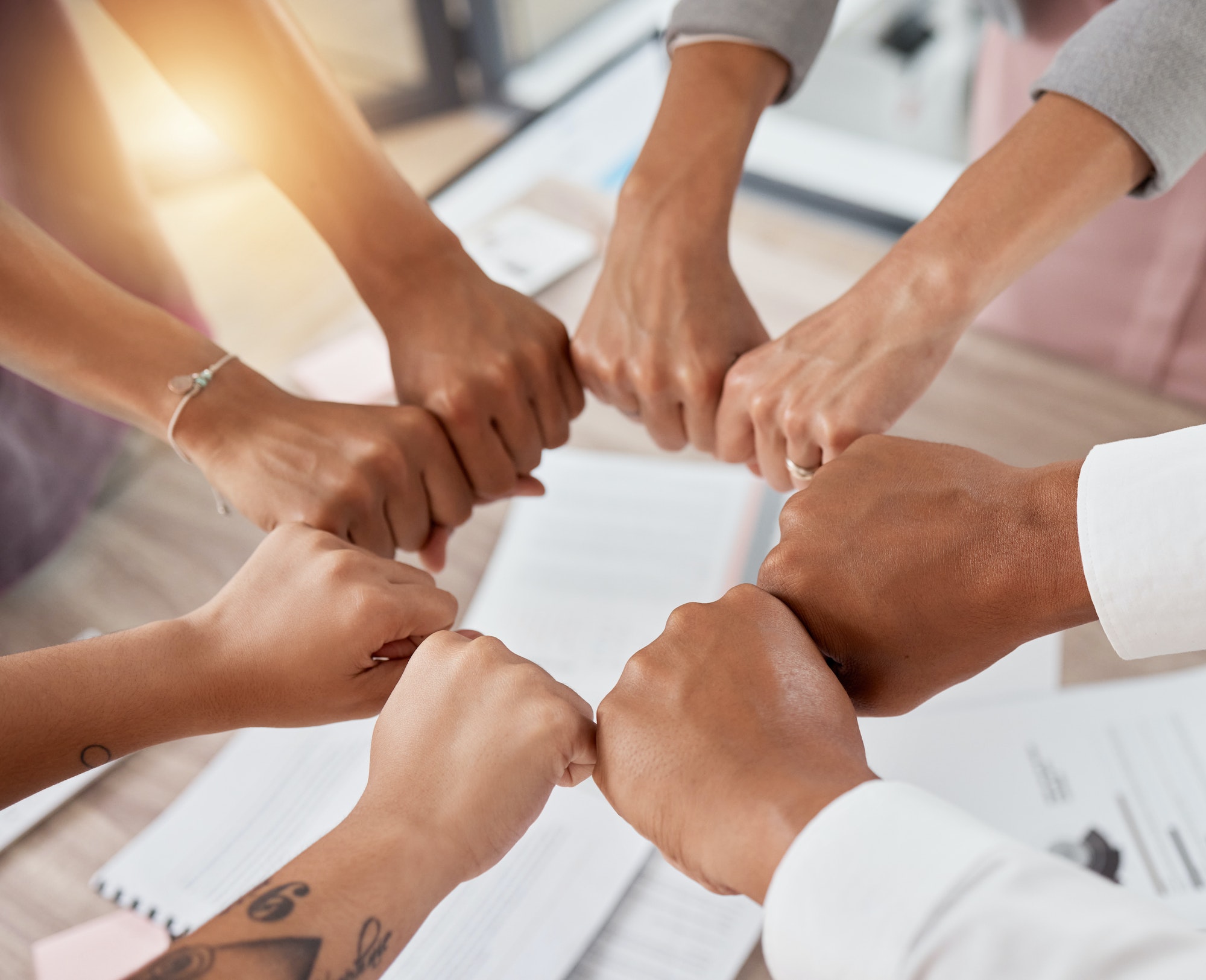 Teamwork, support and circle of hands in fist of business people in meeting with documents. Diversi